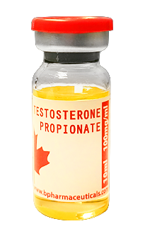 Testosterone_propionate_10mg_100ml